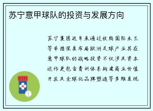 苏宁意甲球队的投资与发展方向