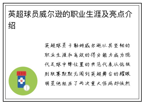 英超球员威尔逊的职业生涯及亮点介绍