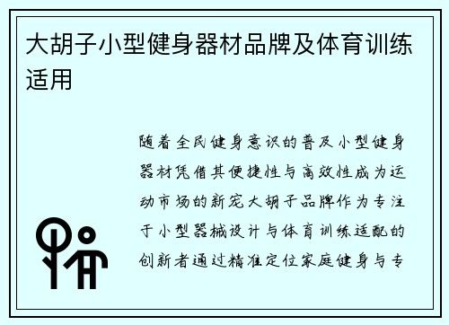 大胡子小型健身器材品牌及体育训练适用